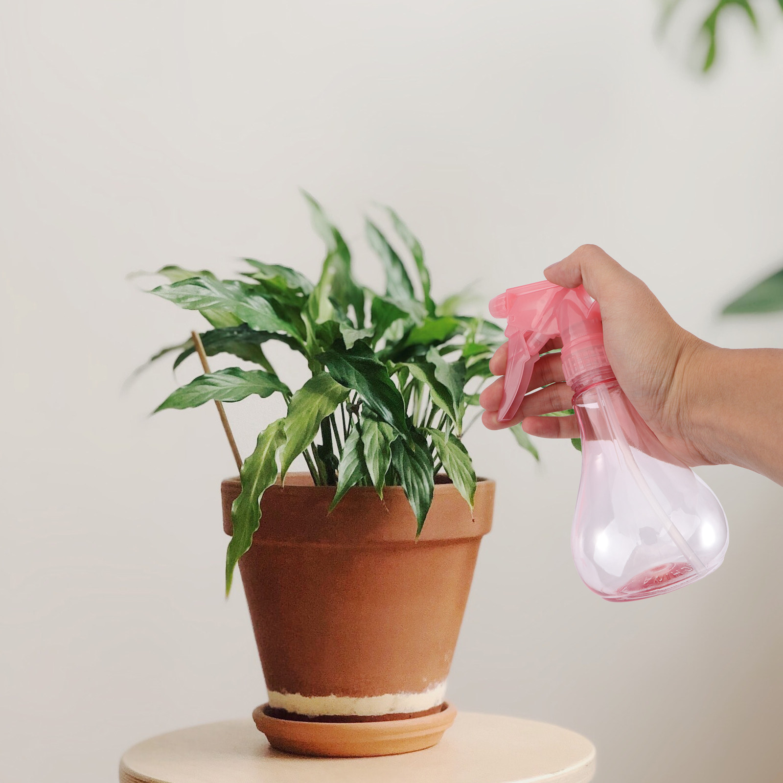 Gardening Tools And Accessories - مجموعة أدوات زراعة النباتات الصغيرة، مجموعة