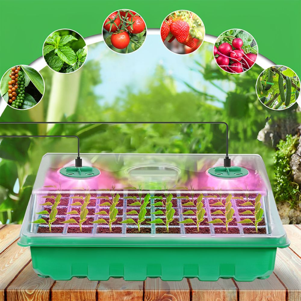 صينية لبدء الزراعة مع إضاءة LE - مراجعة Propagation Tray Dome وسعره