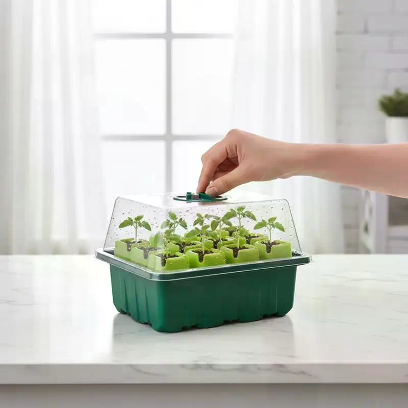 طقم واحد من صينية بادئات البذو - مراجعة Propagation Tray Dome وسعره
