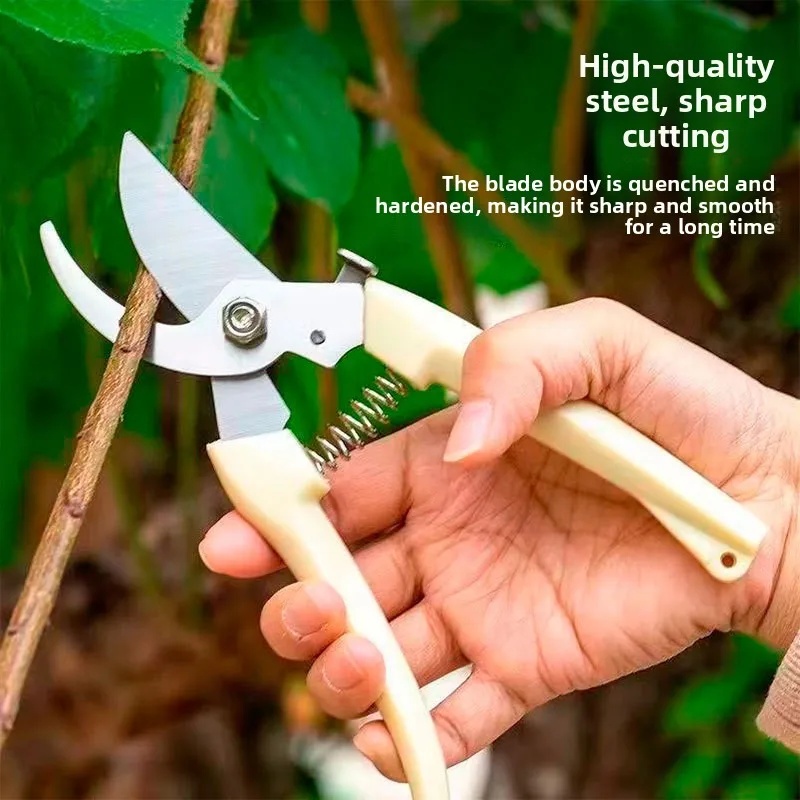 مقص تقليم الحدائق الموفر للجهد - مراجعة Gardening Tools Basic وسعره