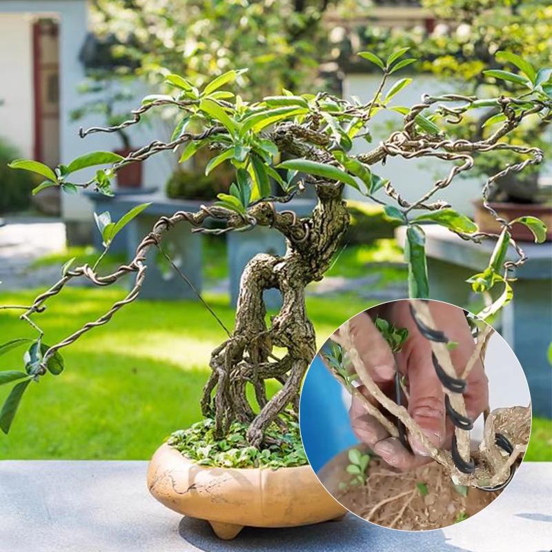 10 أمتار من أسلاك تدريب نباتات - مراجعة Gardening Tools And Accessories وسعره