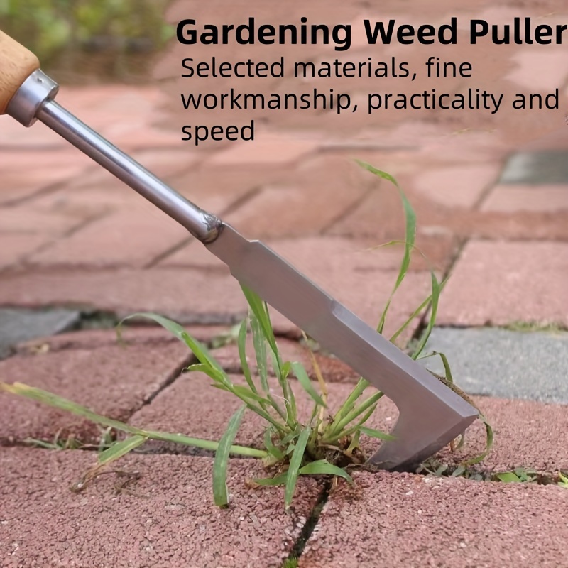 أداة إزالة الأعشاب الضارة المص - مراجعة Gardening Tools Used For Weeding وسعره